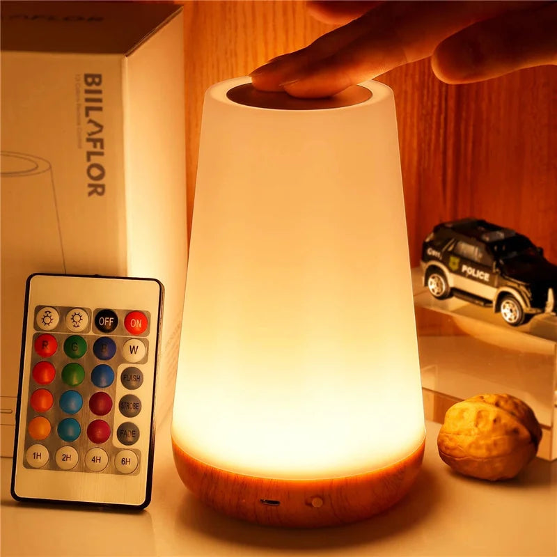 13 Color Dimmable Remote Control USB Rechargeable Night Lamp