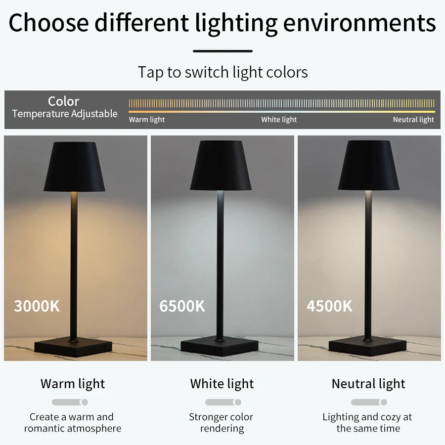 Rechargeable LED Table/Desk Lamp with Touch Switch