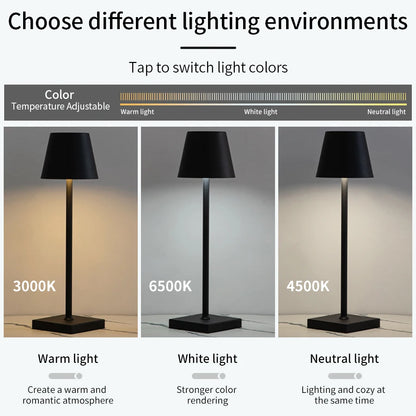Rechargeable LED Table/Desk Lamp with Touch Switch