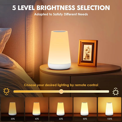 13 Color Dimmable Remote Control USB Rechargeable Night Lamp