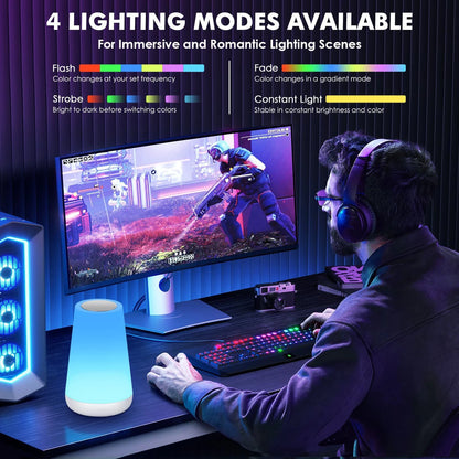 13 Color Dimmable Remote Control USB Rechargeable Night Lamp